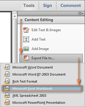Convierta PDF a Excel manualmente o utilizando convertidores en línea