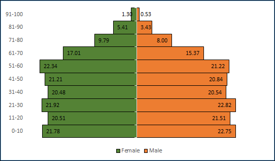 Cómo crear un gráfico piramidal de población en Excel [Template]