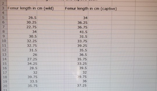 Resuelto Realizar pruebas para cada problema usando Excel.